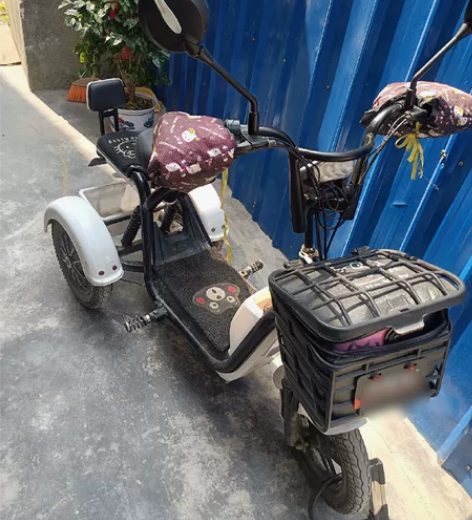 废品价，低价出售电动三轮车，4块电池，买了...