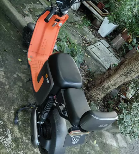 绿源电动车48v24A，锂电池，锂电池可以...