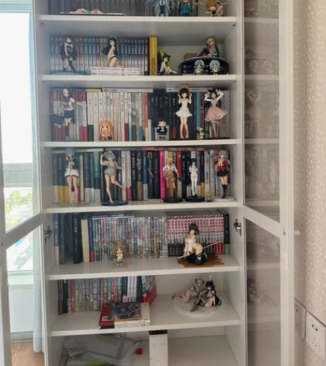 出图上的所有手办还有景品。手办均有盒子，景...