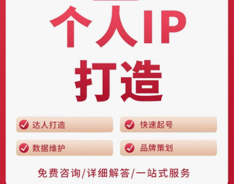 小红薯xhs运营策划红书包装打造达人红书笔...