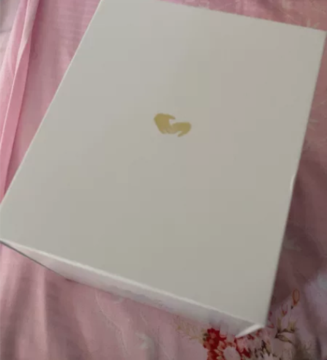 【现货！！！】光遇徽章 光之子手办 蓝色 ...