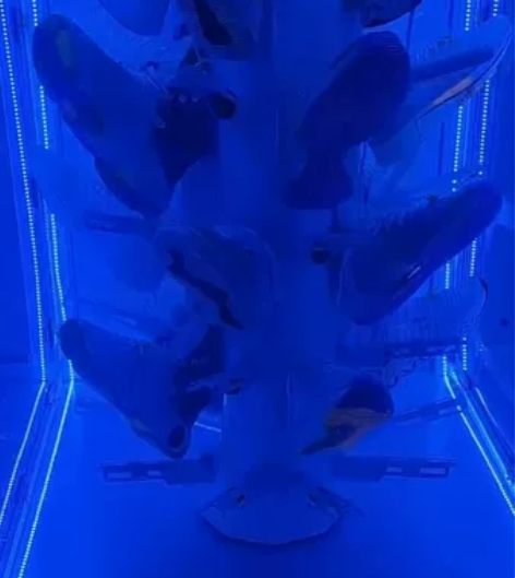 大型商用烘鞋机，厂家直销，免费教学技术，喜...