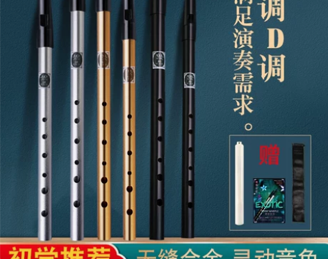爱尔兰哨笛初学者入门金属哨笛6孔C/D调高...