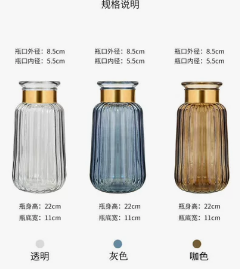 全新 【碧朗】ins北欧风轻奢玻璃花瓶光板...