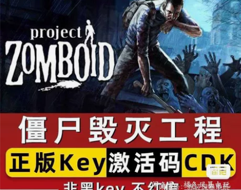 正版游戏激活 直接激活入库 支持在线更新，...