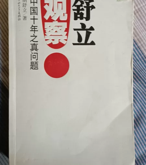 中国十年之真问题 正版二手,极少量勾画舒立...