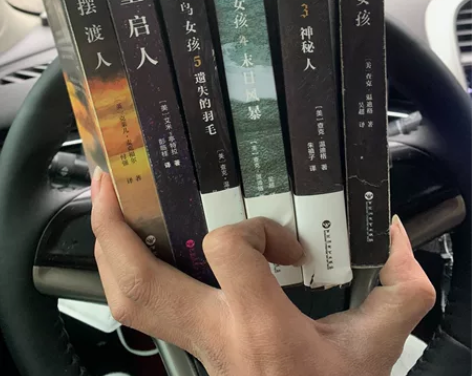 外国小说（知更鸟女孩、重启人、摆渡人、） ...